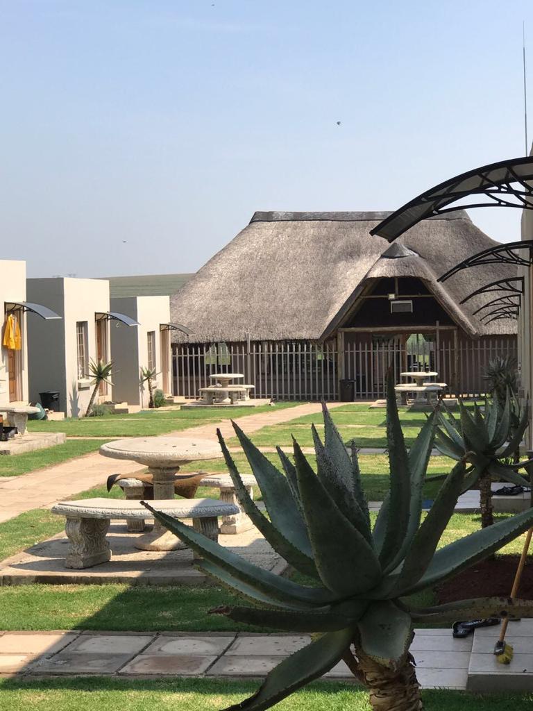 WhatsApp Image 2023-07-20 at 17.16.31 (3)